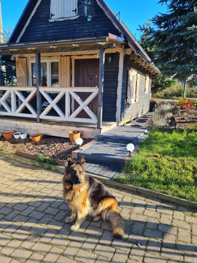 Sloneczna Idylla - Nad Zalewem K Karpacza Sauna Jacuzzi Podgórzyn Extérieur photo